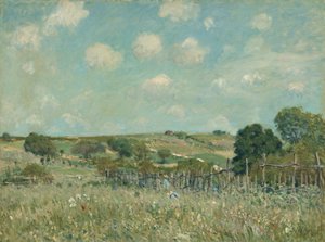 Meadow